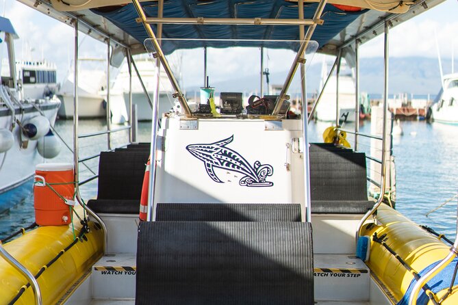 2.5 Hour Whale Escape Tour - Whale Sightings Dec–Apr: The Guarantee and the Go-Again Plan