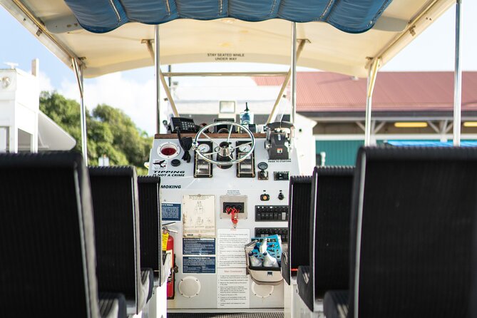 2.5 Hour Whale Escape Tour - Value and Price: Why $177 Can Make Sense Here