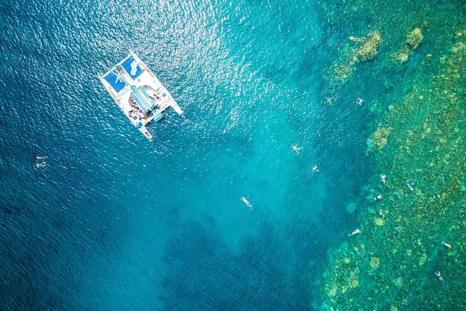 2.5 Hour Xpress Snorkel from Ka’anapali Beach - Mala Wharf and the Old Pier Reef: What You’re Actually Snorkeling For