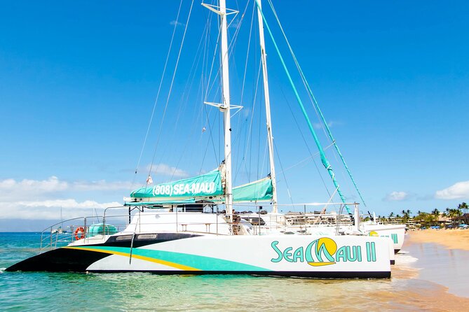 2.5 Hour Xpress Snorkel from Ka’anapali Beach - Price and Value: Is $134.62 a Good Deal for What You Get?