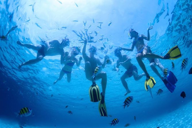 2.5 Hour Xpress Snorkel from Ka’anapali Beach - Meeting Sea Maui at Ka’anapali Beach: Easy Start, Real Timing