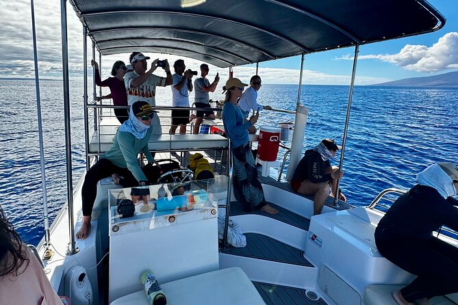2 Hour Afternoon Lahaina Whale Watch - Why A 2-Hour Lahaina Watch Fits Real Life In Maui