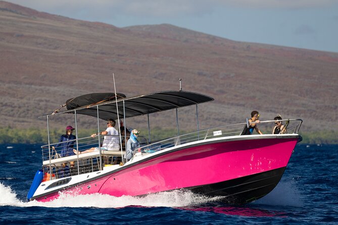 2 Hour Afternoon Lahaina Whale Watch - What You’ll Likely See: Humpbacks, Breaching, Moms, Babies, And More
