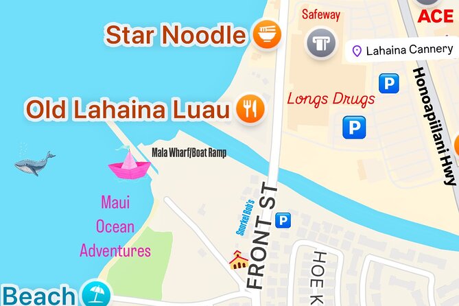 2 Hour Afternoon Lahaina Whale Watch - Photos And GoPros: Getting Shots When The Boat Bounces