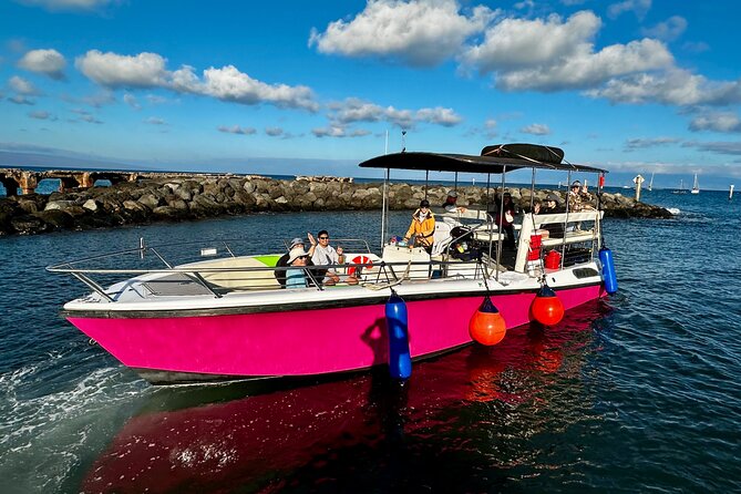 2 Hour Prime Time Maui Whale Watching - Water conditions and sea comfort: when to go and how to prepare