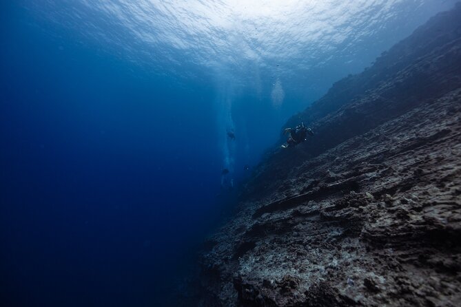 2-Tank Dive Featuring the Molokini Crater - Key things you’ll care about