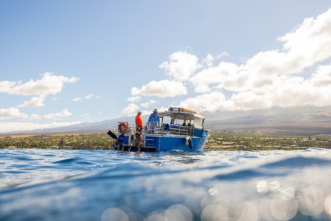 2-Tank Dive Featuring the Molokini Crater - Molokini Crater: why this site is worth the early start