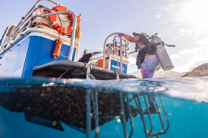 2-Tank Dive Featuring the Molokini Crater - The two-tank plan: how the stops shape your experience