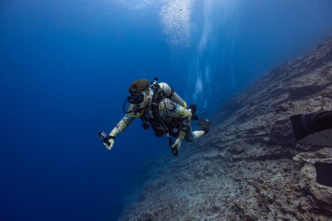 2-Tank Dive Featuring the Molokini Crater - Price and value: why $249 can make sense here