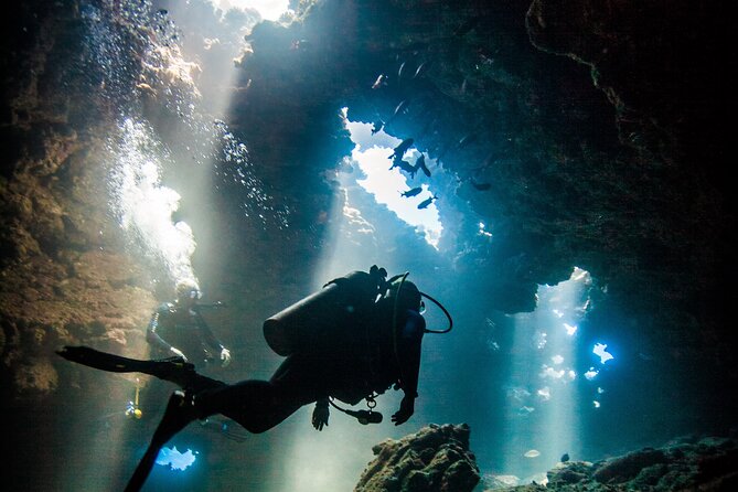2 Tank Lanai Cathedral Scuba Dive Via Boat for Certified Divers - Key things I’d clock before you book