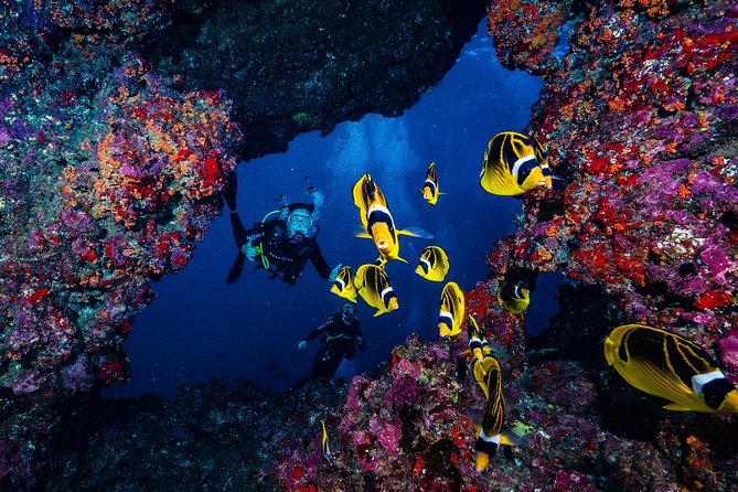 2 Tank Lanai Cathedral Scuba Dive Via Boat for Certified Divers - Why Lanai’s Cathedrals are worth a long Maui morning