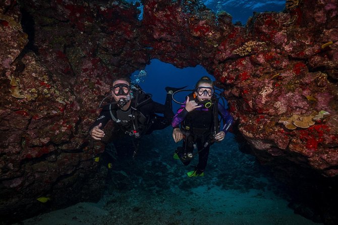 2 Tank Lanai Cathedral Scuba Dive Via Boat for Certified Divers - What you’ll see: cave shapes, arches, and the sea life that moves in close