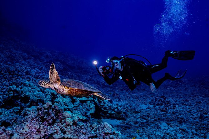 2 Tank Lanai Cathedral Scuba Dive Via Boat for Certified Divers - Guides, safety briefings, and small-group attention that feels real