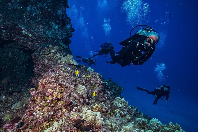 2 Tank Lanai Cathedral Scuba Dive Via Boat for Certified Divers - Gear, comfort, and the motion-sickness reality check