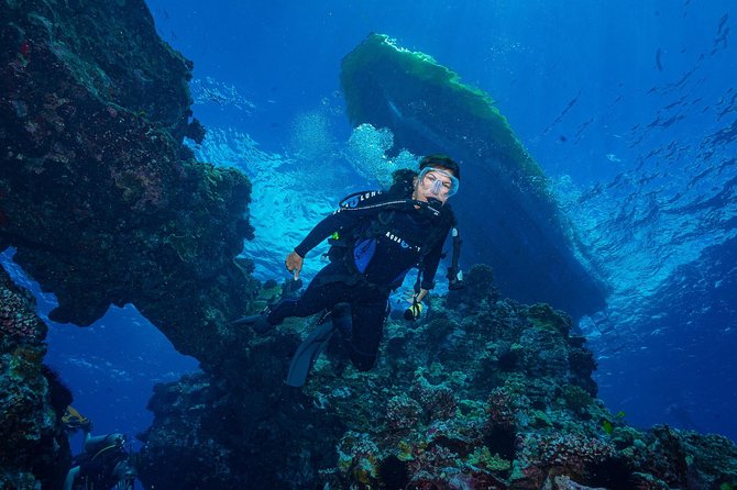 2 Tank Lanai Cathedral Scuba Dive Via Boat for Certified Divers - Who should book this Lanai Cathedral two-tank trip