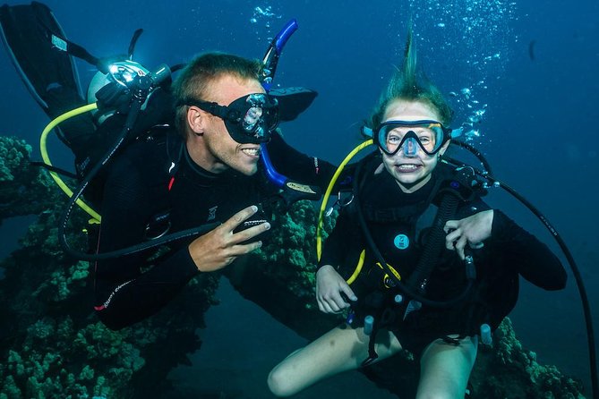 2-Tank Maui Turtle Scuba Dive or Snorkel Boat Tour - Key things to know before you go