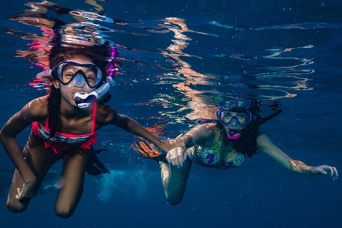 2-Tank Maui Turtle Scuba Dive or Snorkel Boat Tour - West Maui turtle country: why these dive spots matter