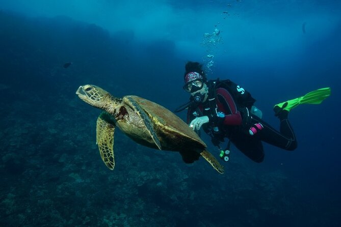 2-Tank Maui Turtle Scuba Dive or Snorkel Boat Tour - The instruction quality: names you may see and the “no rush” vibe