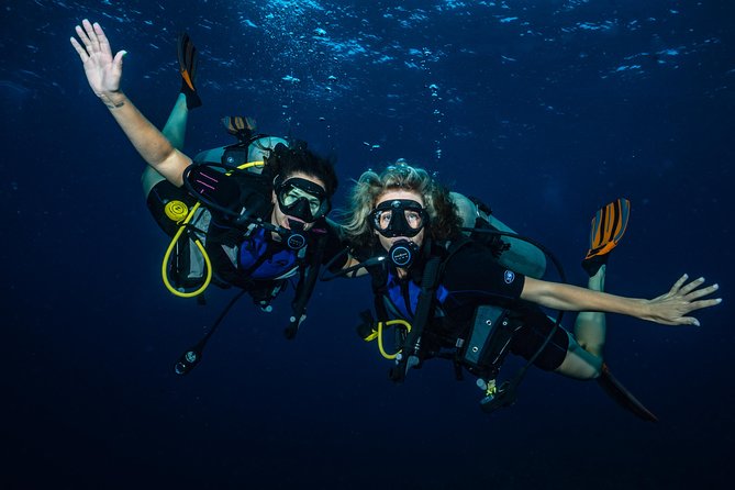 2-Tank Maui Turtle Scuba Dive or Snorkel Boat Tour - Snorkel friends on the same day: a smart way to travel as a mixed group