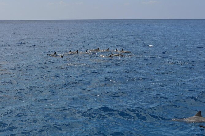 3-Hour Small-Group Maalaea Luxury Snorkel Cruise Tour - The 3-Hour Rhythm: What Luxury Means in Practice