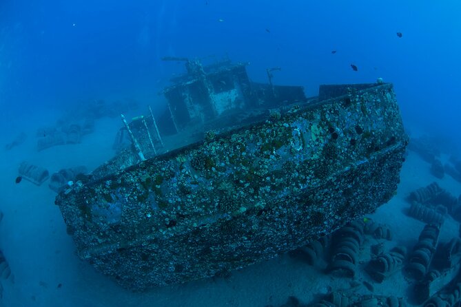 3-Tank Dive Featuring the Molokini Crater - What You’ll Do at Stop 1: Molokini Crater