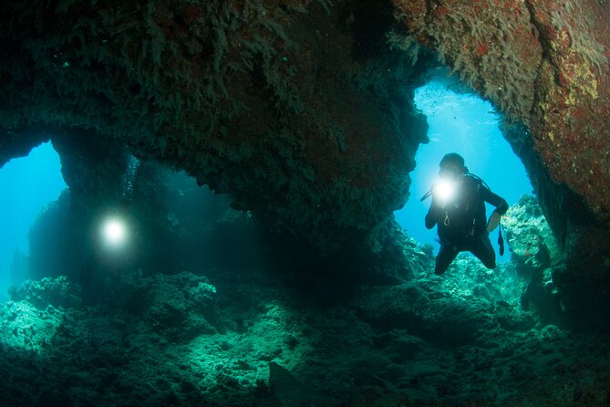 3-Tank Dive Featuring the Molokini Crater - Body Stats, Gear Fit, and Why They Care