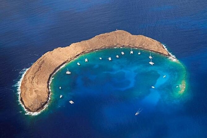 4-Hour Koa Kai Molokini Adventure Snorkel - Key highlights you’ll feel right away