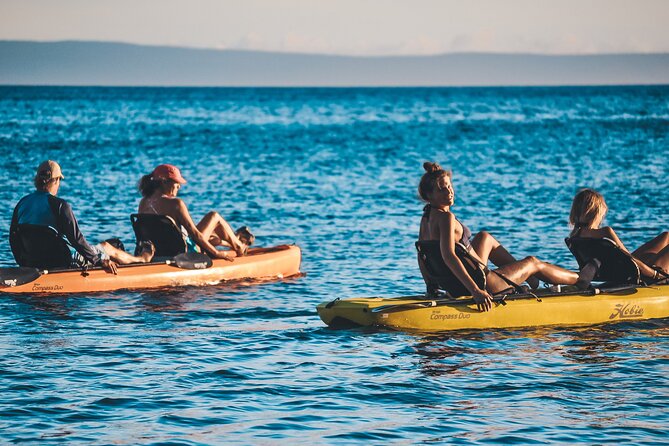 4 hour Private Custom Kayak Tour Lahaina - Wildlife and Whale Watching in Season: Spotting Without Stress