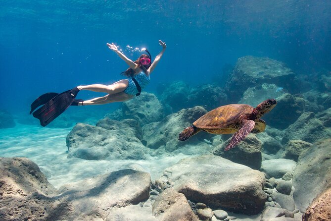 4 hour Private Custom Kayak Tour Lahaina - The 4-Hour Flow: From Safety Brief to Coastline Time