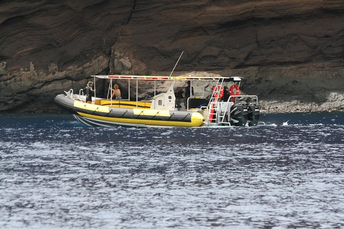 5 Hour Molokini Snorkel & Turtle Tour in Maui - Quick takeaways before you go