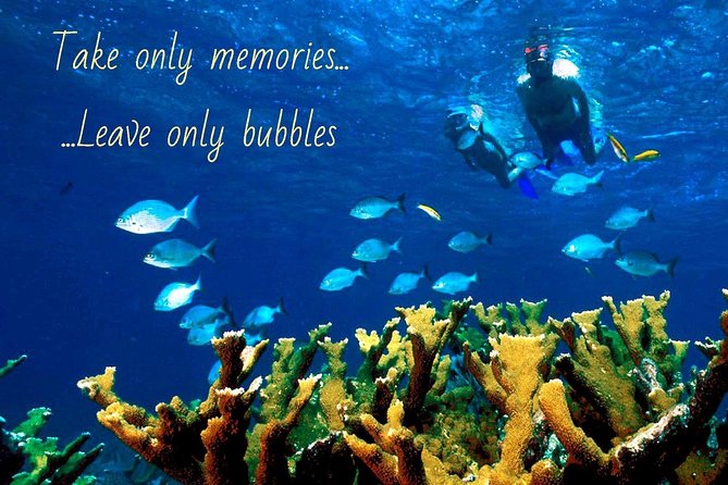 5 Hour Molokini Snorkel & Turtle Tour in Maui - Po’olenalena Beach: a last turtle-chance leg in Maui’s south shore waters