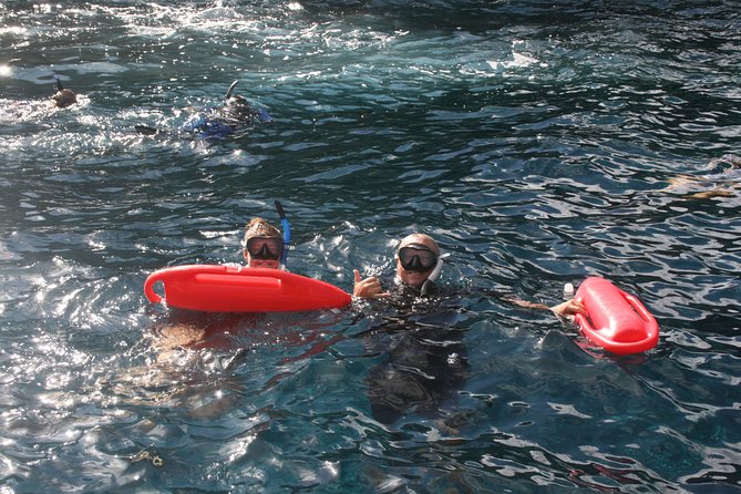 5 Hour Molokini Snorkel & Turtle Tour in Maui - Puʻu Ola’i (Red Hill) to Coral Forest: shells, chub fish, and turtle spotting