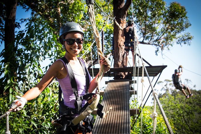 7-Line Maui Zipline on the North Shore - Views from the air: what you’ll actually see on the North Shore