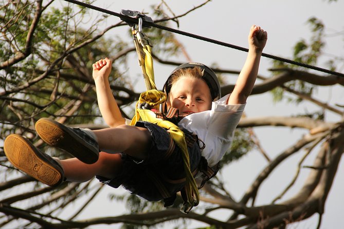 7-Line Maui Zipline on the North Shore - Who this zipline is perfect for (and who may want to think twice)