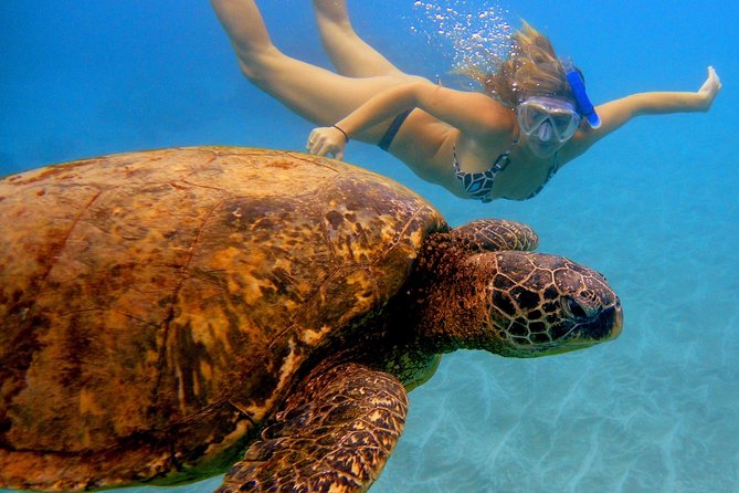 Afternoon Adventure Snorkel from Ka'anapali - The Magic Merman crew: safety-first, no panic
