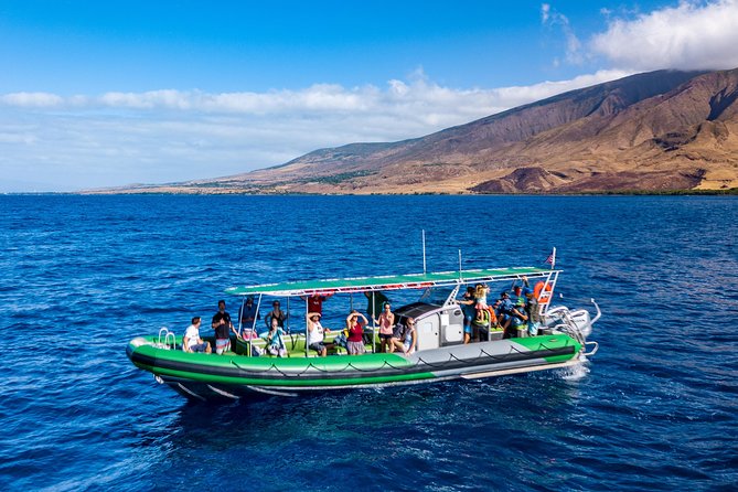 Afternoon Adventure Snorkel from Ka'anapali - Snorkeling at West Maui: reefs, fish, and turtles