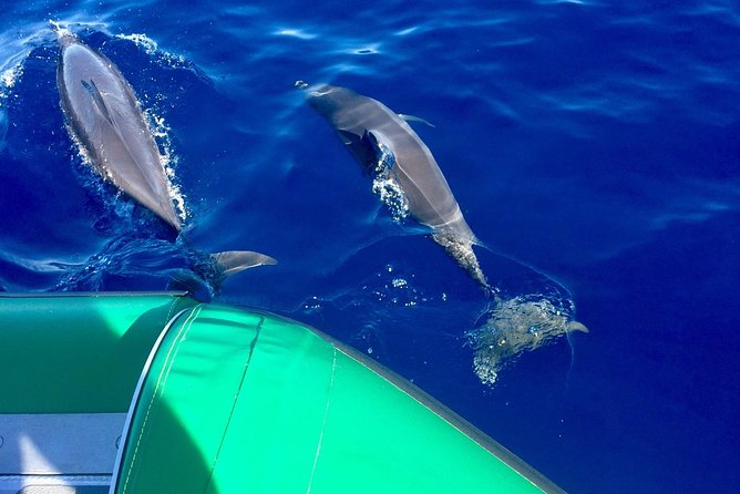 Afternoon Adventure Snorkel from Ka'anapali - Between stops: snacks, water, and a comfortable reset