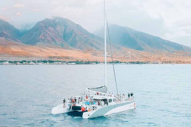'Alihilani Sunset Sail from Ma'alaea Harbor - Humpback whale chances in December to May