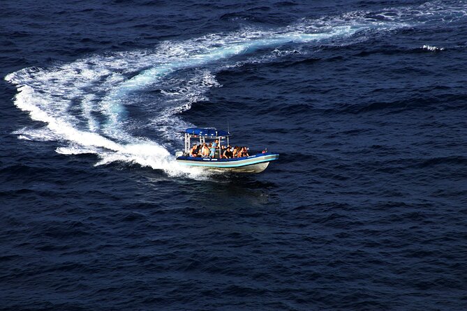 All-Inclusive 5.5 hr La Perouse Bay & Molokini Sea Cave Boat Tour - Snorkeling Stops: Two En Route Plus Up to Three Molokini Sessions