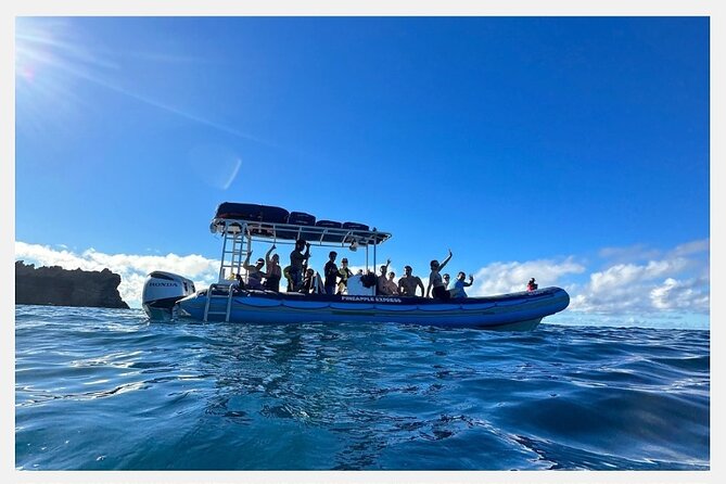 All-Inclusive 5.5 hr La Perouse Bay & Molokini Sea Cave Boat Tour - Should You Book This La Perouse Bay and Molokini Sea Cave Tour?