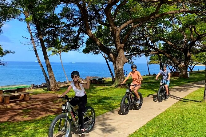 Aloha West Maui 2-Hour Self-Guided Electric Bike Tour - Value vs. renting a car or doing a hike