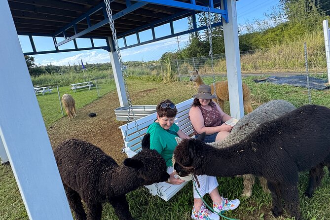 Alpaca Farm Experience on the Road to Hana - Private and English-Friendly: Who This Fits Best