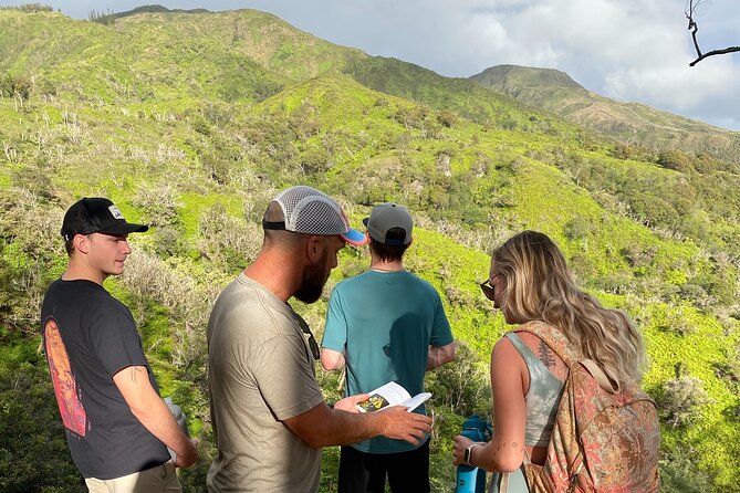 Amazing Maui Ridge Hike - Price and value: is $159 for a guided Maui ridge hike worth it?