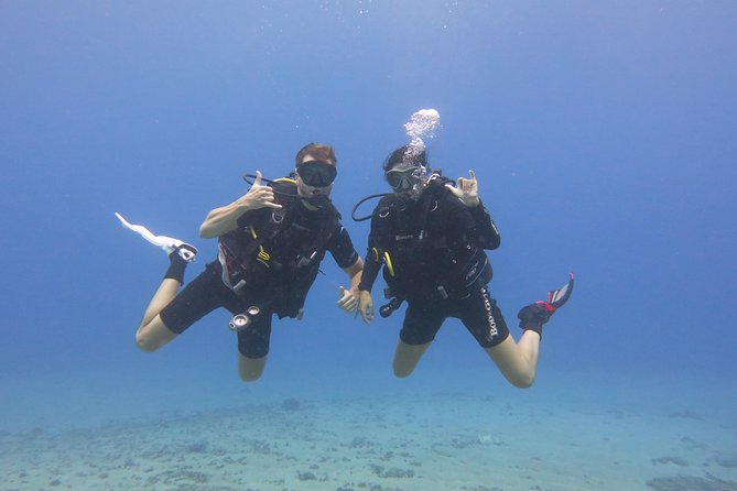 Beginner Scuba Dive in Lahaina: Swimming Required - What $229 Gets You—and Why the Price Can Be Fair