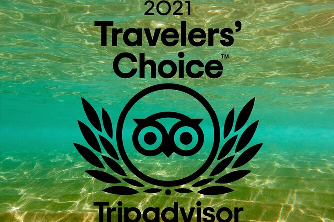 Beginner Scuba Dive in Lahaina: Swimming Required - Instructors You Might Get: Patient Coaching That Builds Confidence