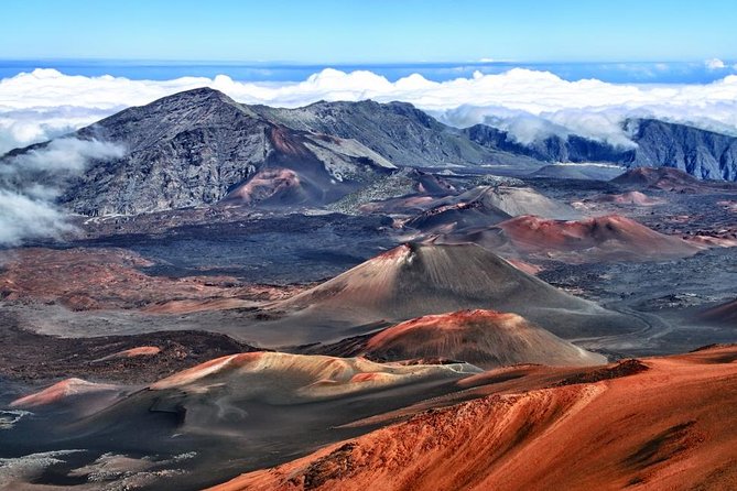 Best of Maui Tour: Sips, Sites and Bites with Lunch - Getting to the Van: Pickup Rules That Matter