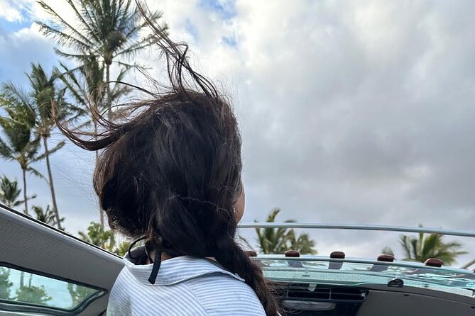 Brewery and Beach Cruise in a Vintage VW Bus - Price and value: what $229 gets you (and what you pay extra)