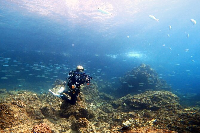 Certified Divers! Scuba dive the Ka'anapali Coast and more! - When night or other site types might come up