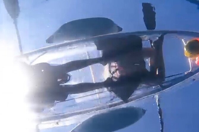 Clear Bottom Glassy Kayak Rental | MAUI | Safe and Stable Kayaks - Price and value: why this rental is more than a kayak