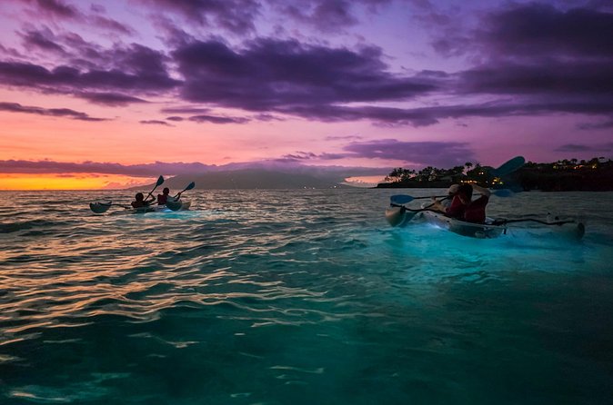 Clear Kayak Sunset and Glow Tour in Maui - Price and Value: Is $125 Worth It for 2 Hours?